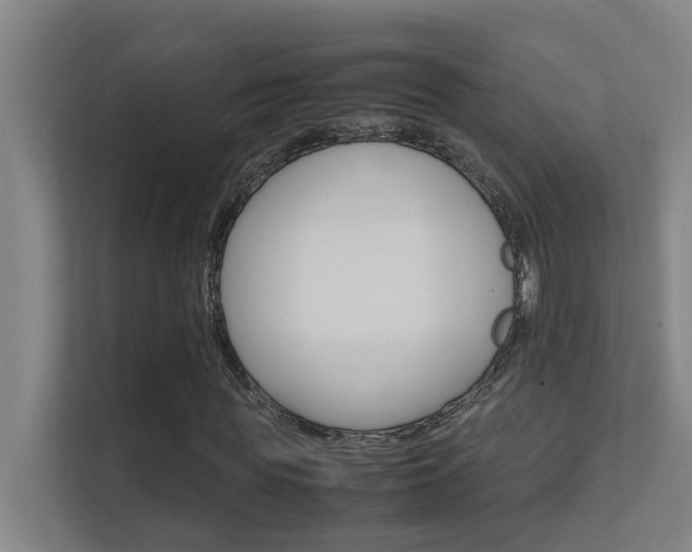 X0000112370819200908131252