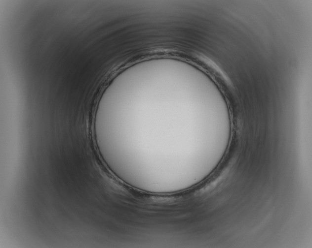 X0000112370825200908131252