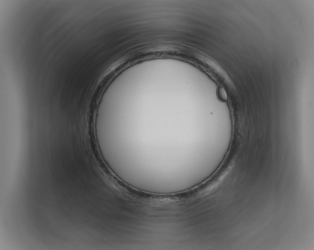 X0000112370826200908131252