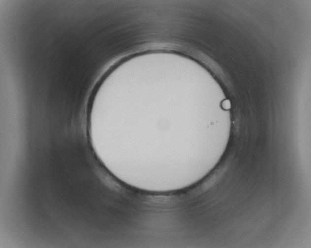 X0000112370836200908131253