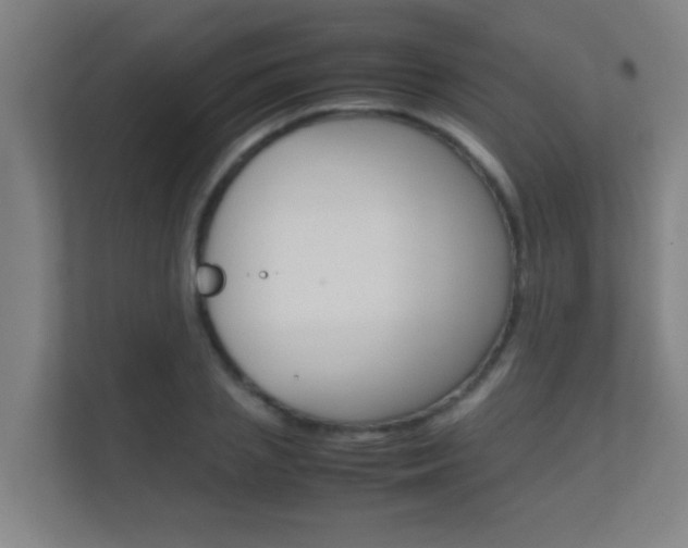 X0000112370837200908131253