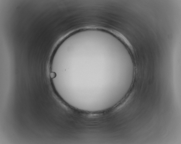 X0000112370839200908131253