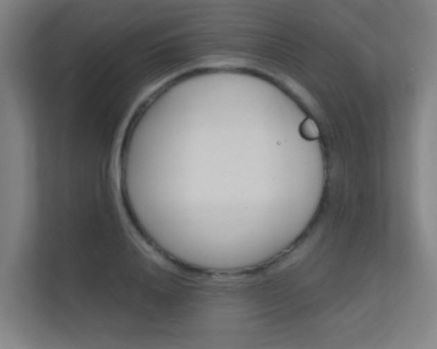 X0000112370840200908131253
