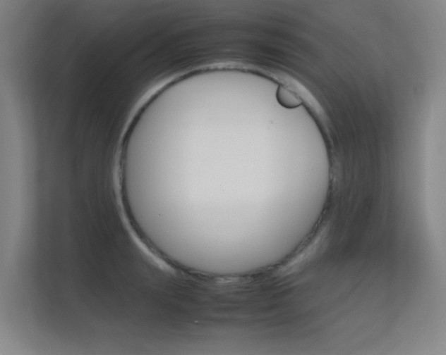 X0000112370847200908131253