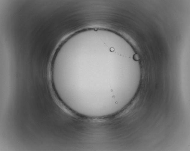 X0000112370848200908131253