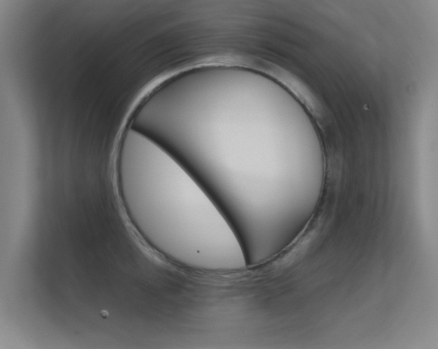 X0000112370854200908131253