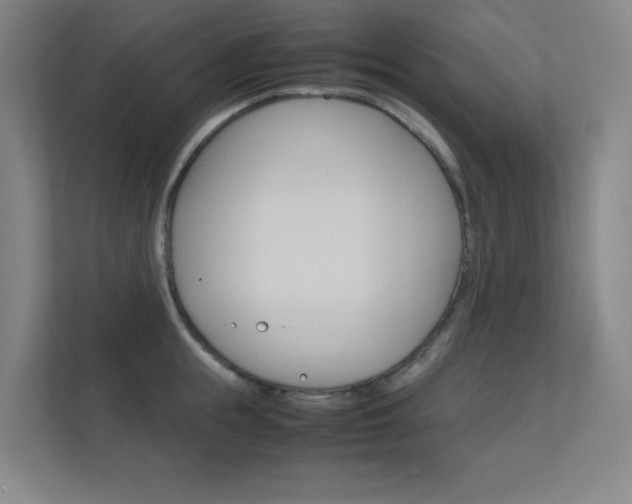 X0000112370855200908131253