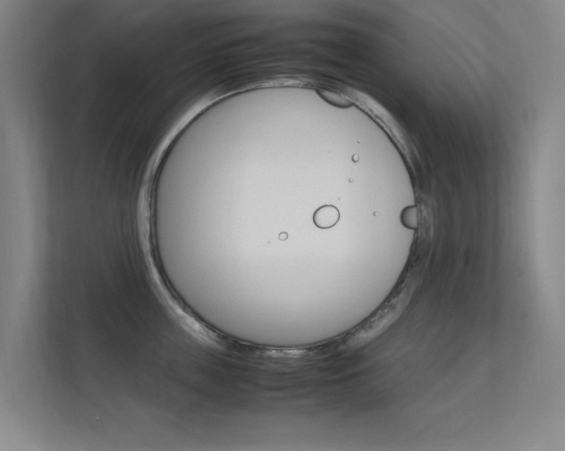 X0000112370859200908131253