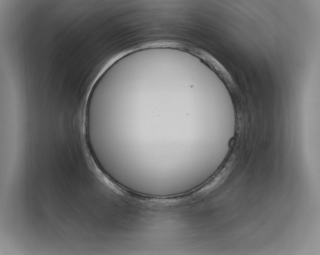 X0000112370860200908131253