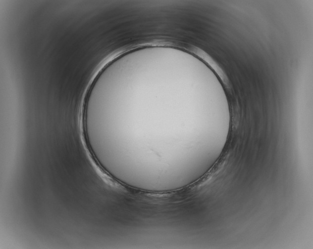 X0000112370861200908131253