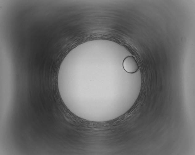 X0000112370868200908131252