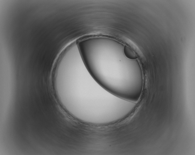 X0000112370876200908131252
