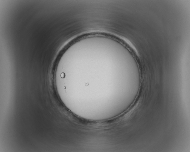 X0000112370879200908131252