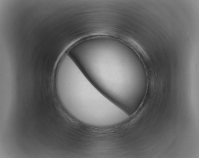 X0000112370884200908131252