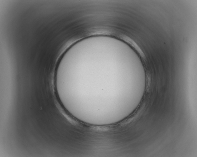 X0000112370890200908131252