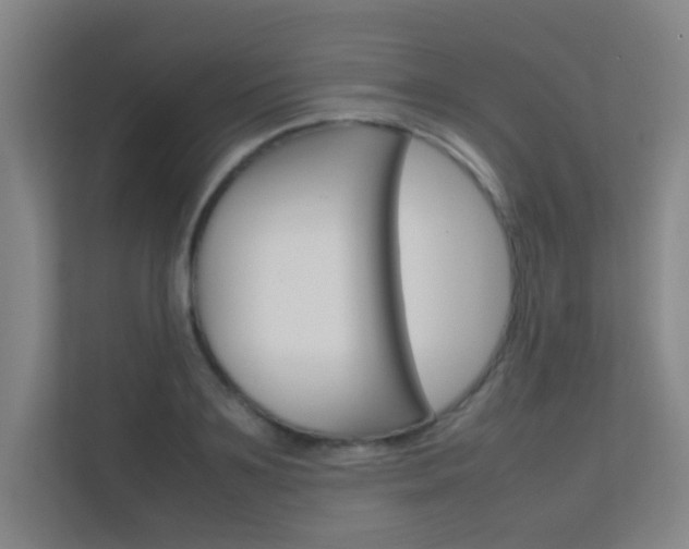X0000112370891200908131252