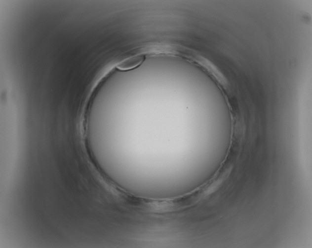 X0000112370893200908131252