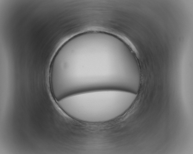 X0000112370903200908131252
