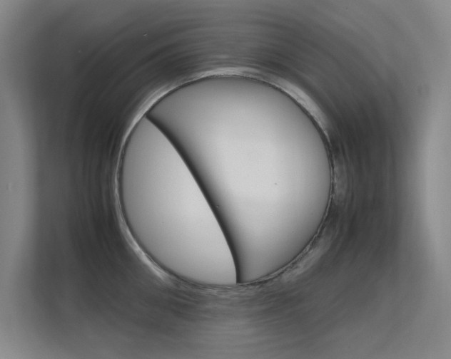 X0000112370906200908131252