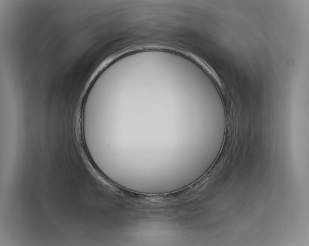 X0000112370911200908131252