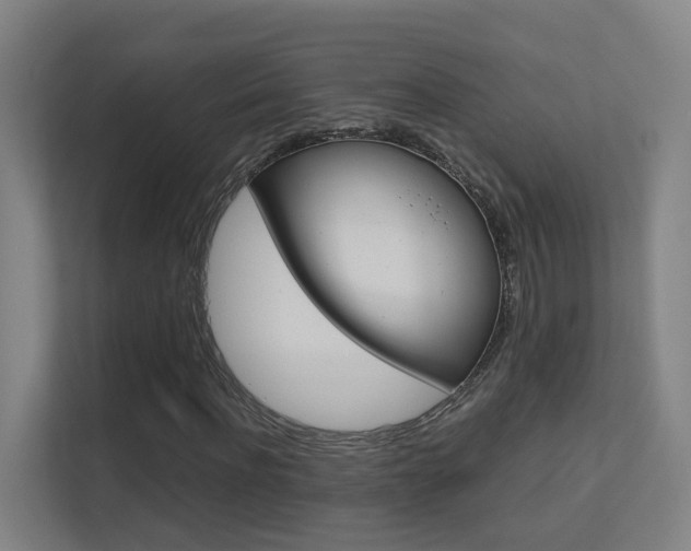 X0000112370916200908131251