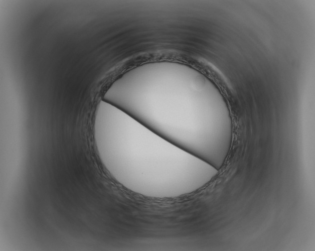 X0000112370919200908131251