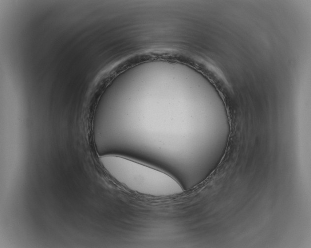X0000112370920200908131251