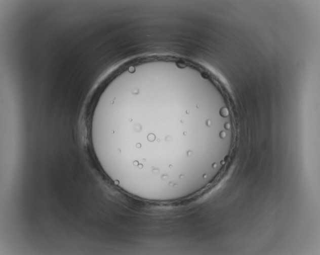 X0000112370925200908131251