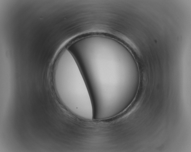 X0000112370926200908131251