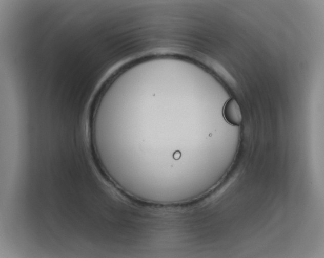 X0000112370934200908131251