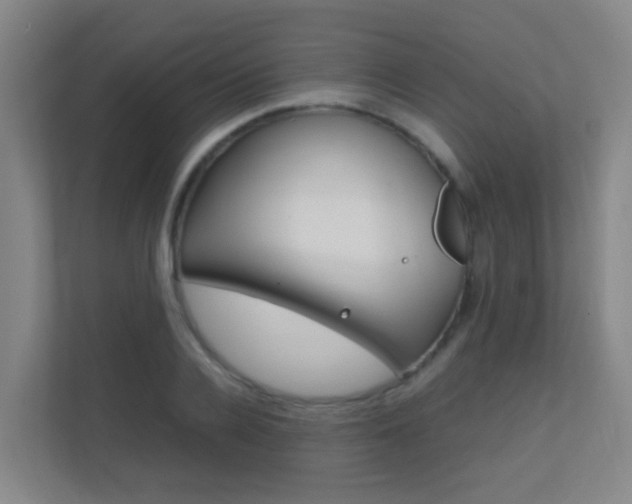X0000112370936200908131251
