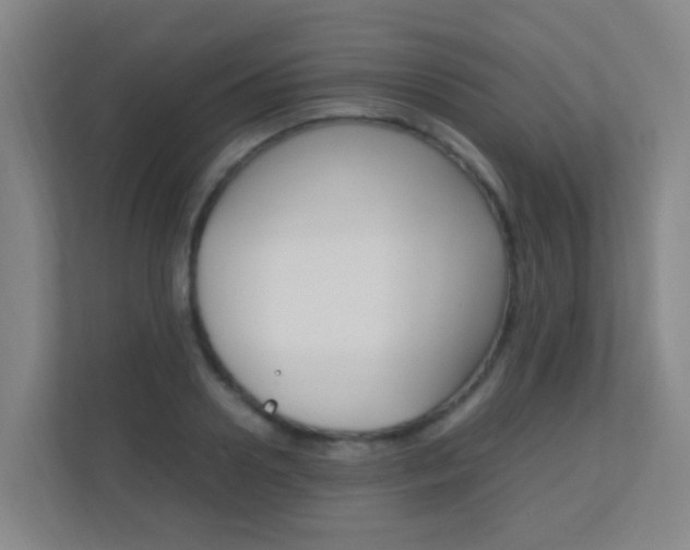 X0000112370938200908131251
