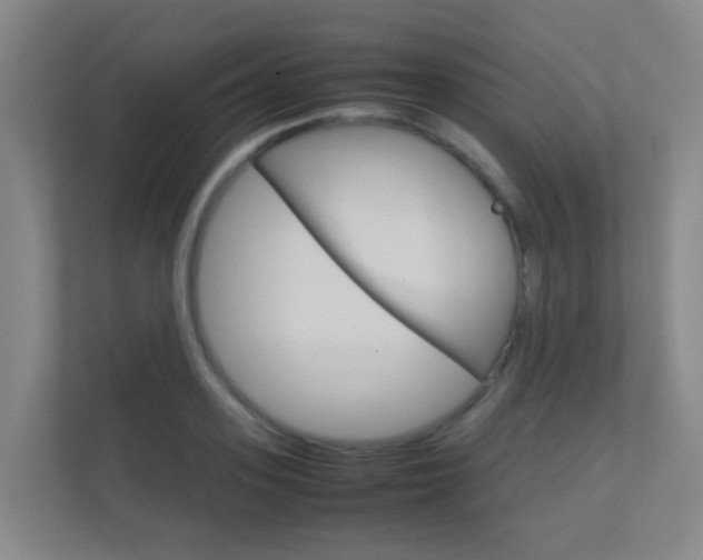 X0000112370939200908131251
