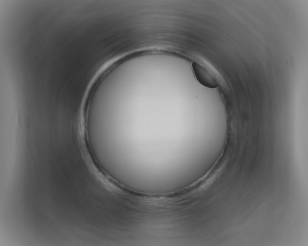 X0000112370940200908131251