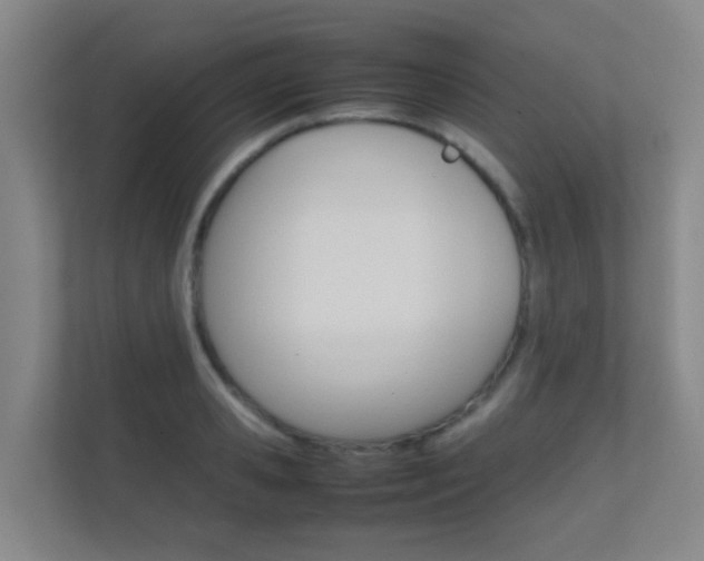 X0000112370941200908131251