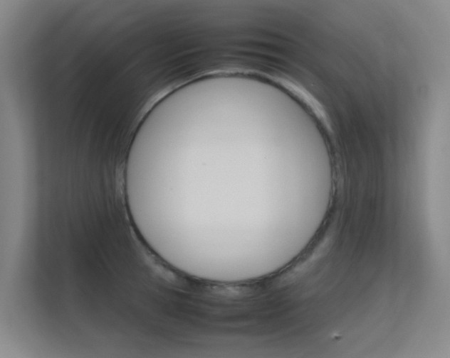 X0000112370945200908131251