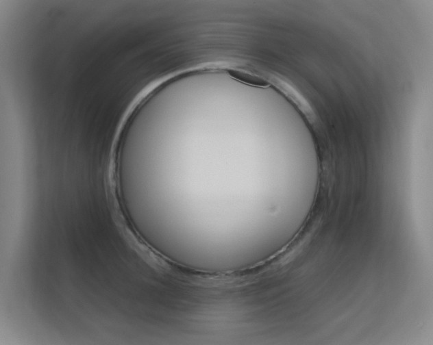 X0000112370948200908131251