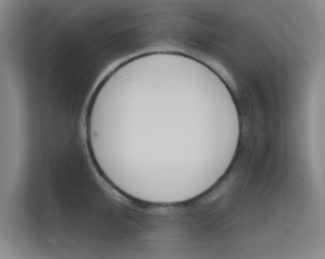 X0000112370950200908131252
