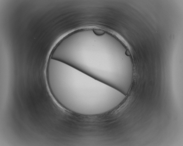 X0000112370951200908131252