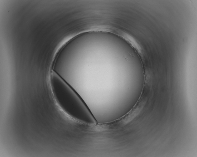 X0000112370952200908131252