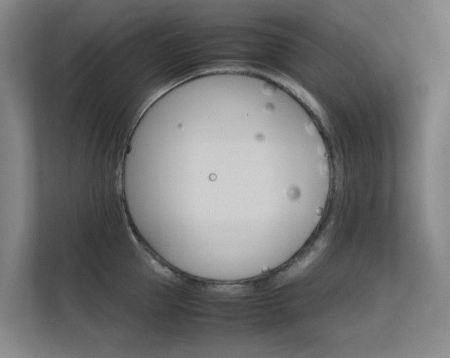 X0000112370953200908131252