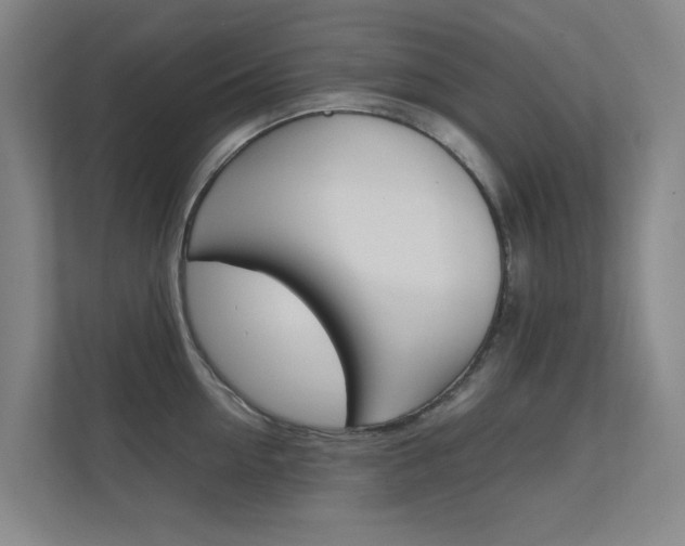 X0000112370954200908131252
