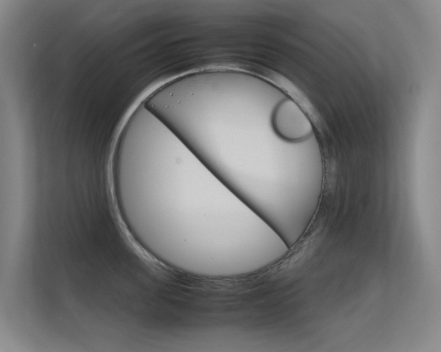 X0000112370955200908131252