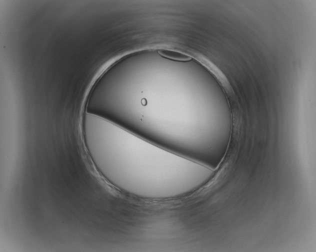 X0000112370956200908131252