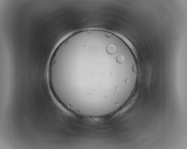 X0000112370957200908131252