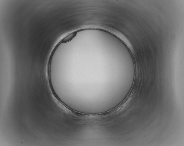 X0000112370958200908131252