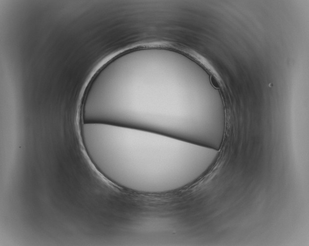 X0000112370959200908131252