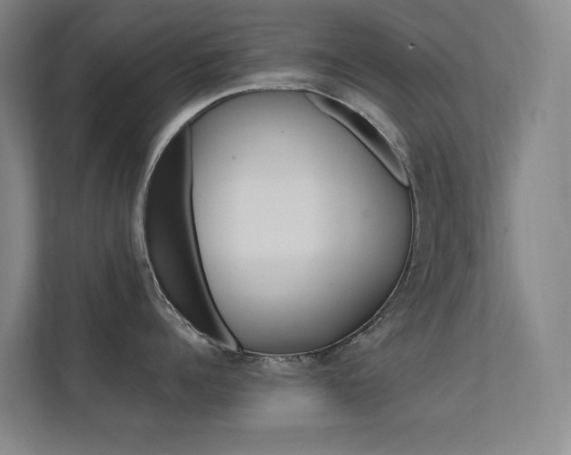 X0000112370960200908131252