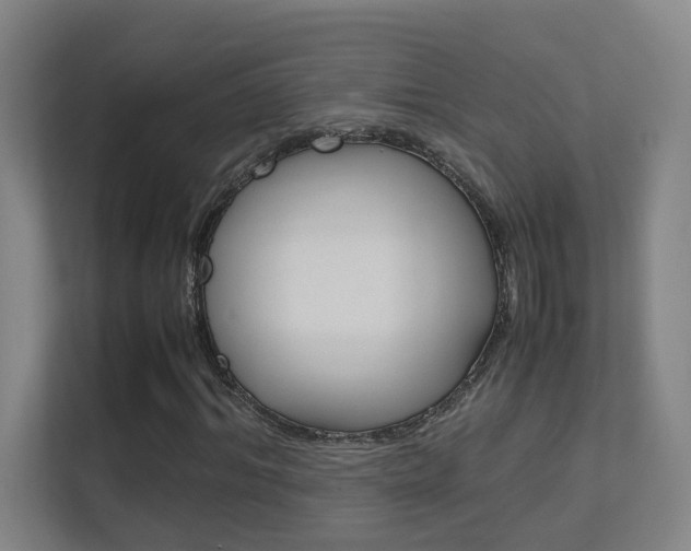 X0000112370964200908131251