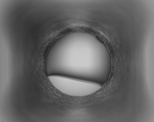 X0000112370965200908131251